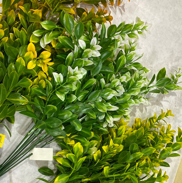 GREENERY WITH COLORED TIP